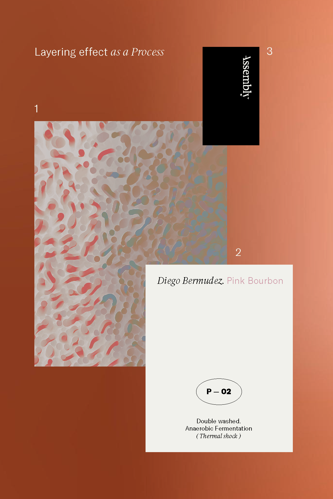 Diego_B_CaseStudy-graogics-06-1